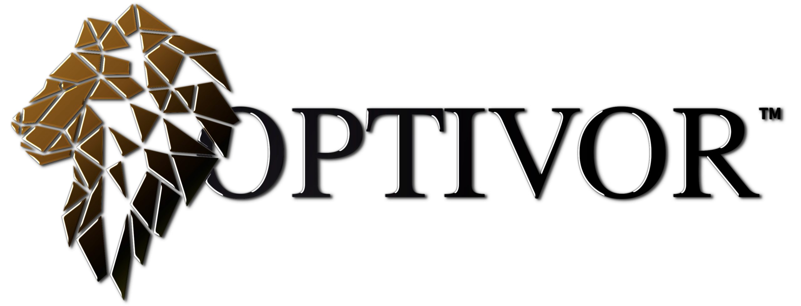 OPTIVOR doradztwo biznesowe